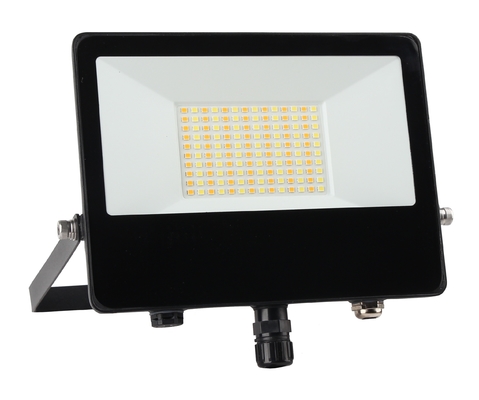 CCT IP65 50W LED Flood Light Waterproof Outdoor With PIR Motion Sensor